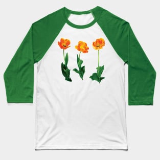 Three Tulips in a Row Baseball T-Shirt